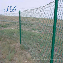 Foot Green Plastic PVC Coated Chain Link Fence